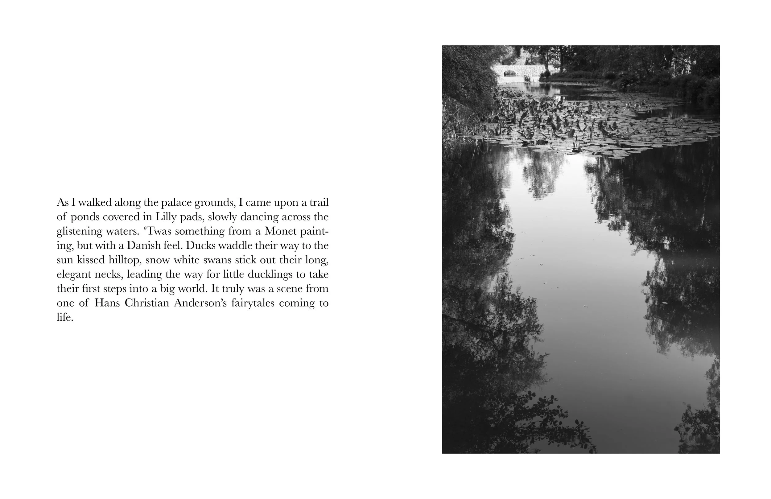 thesis_book_presentation 7.jpg