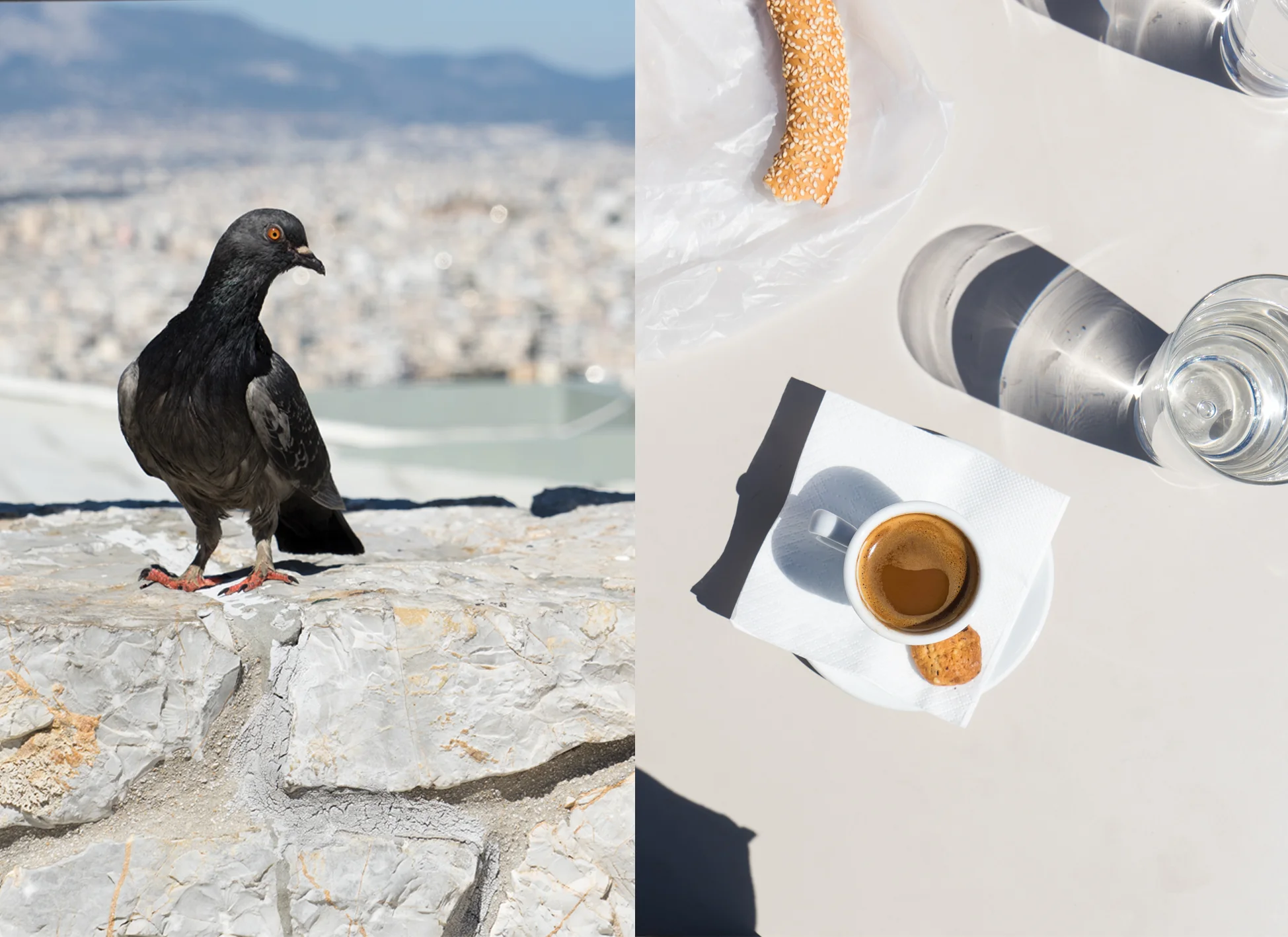 coffee_and_pigeon.jpg