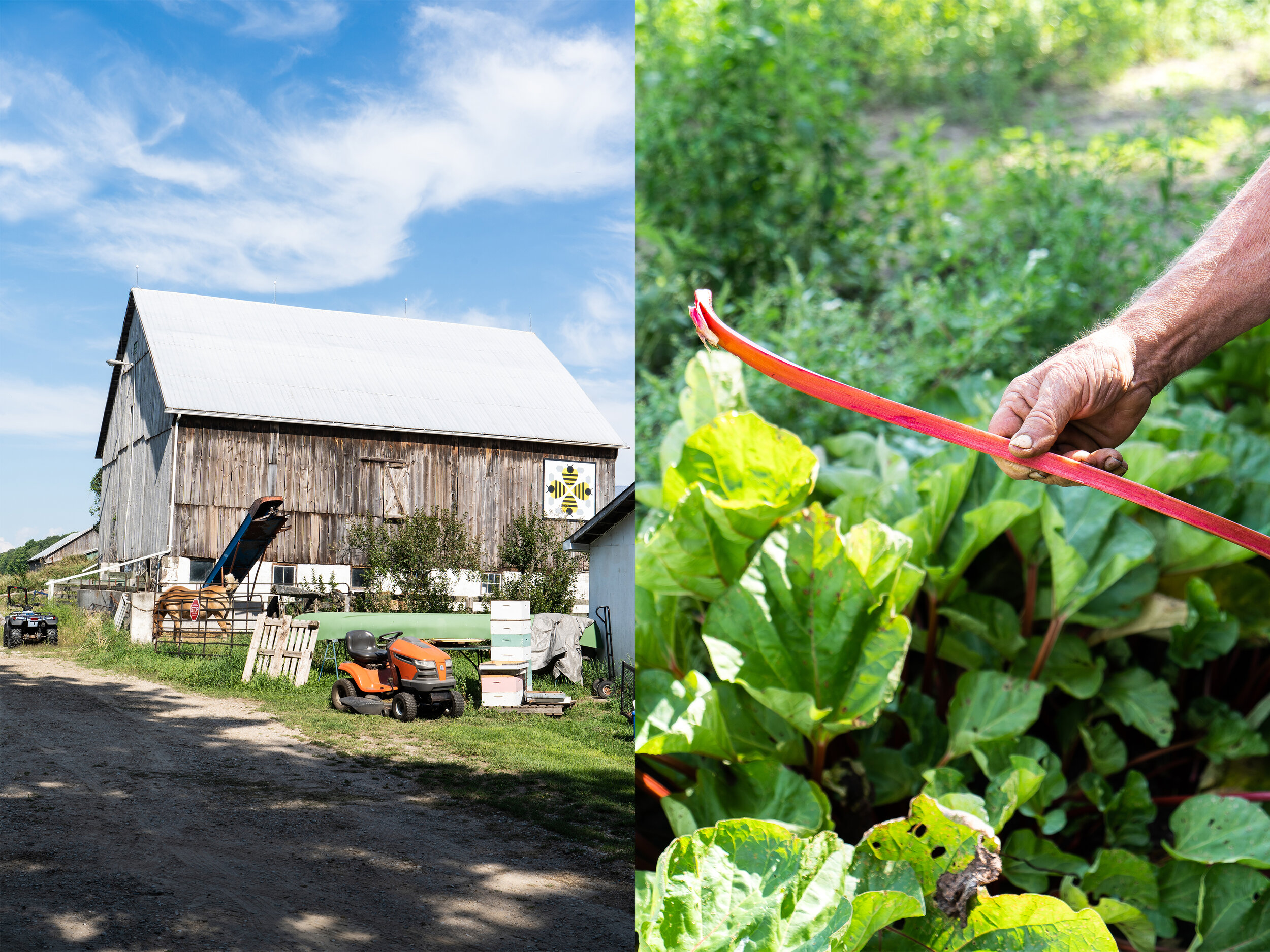 Pratt farm_1.jpg