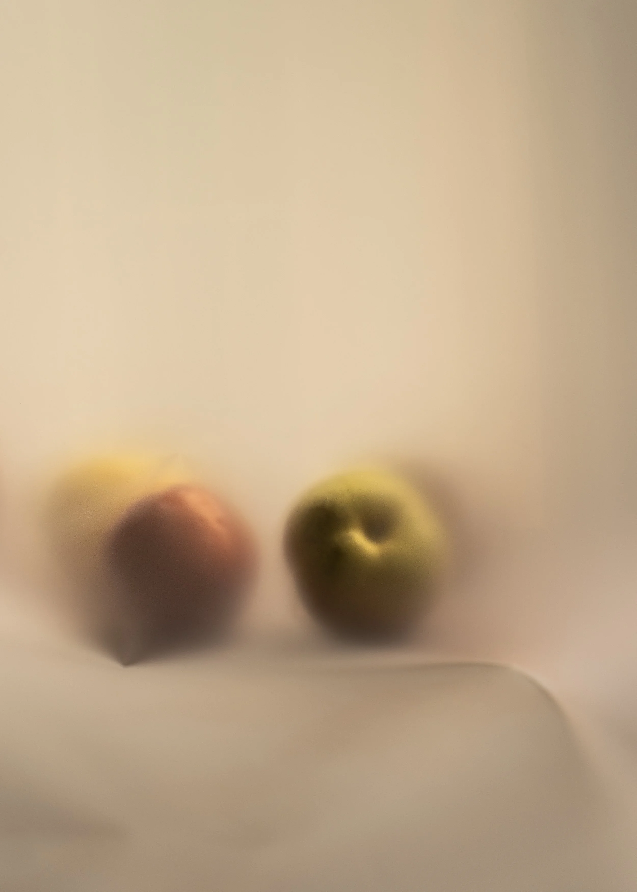 Fruits undercover_late summer.jpg