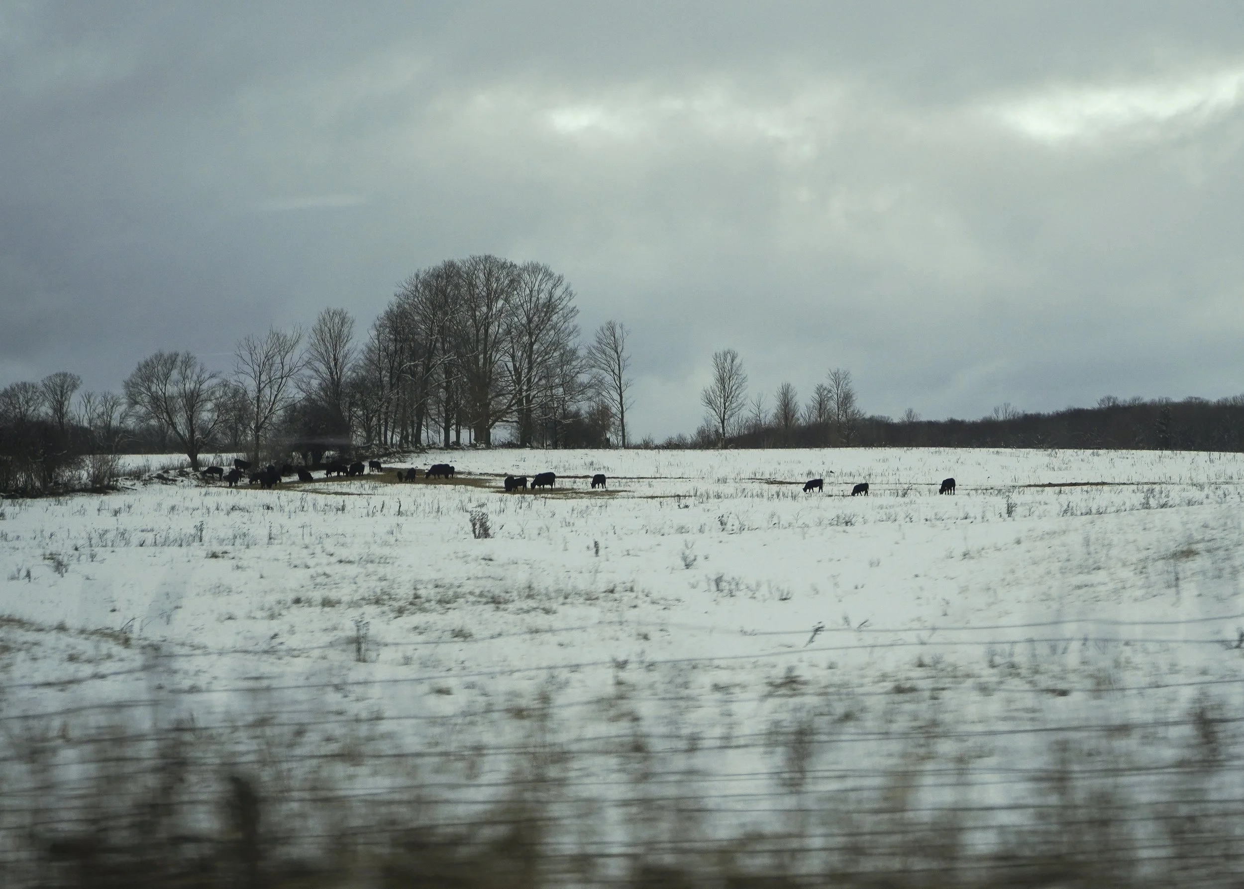 December 2024_winter-4.jpg