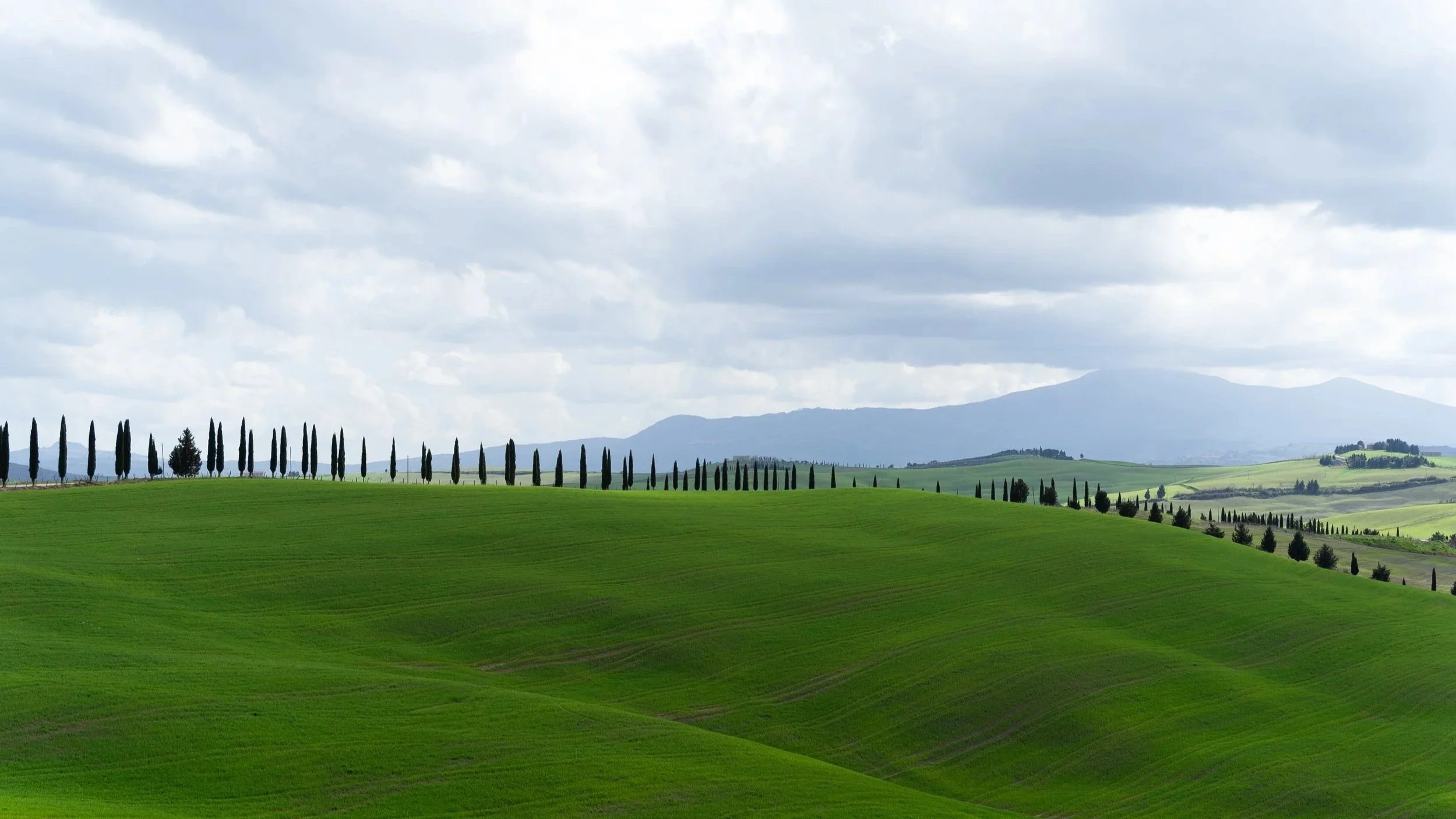 Toscana_landscape_1.jpg
