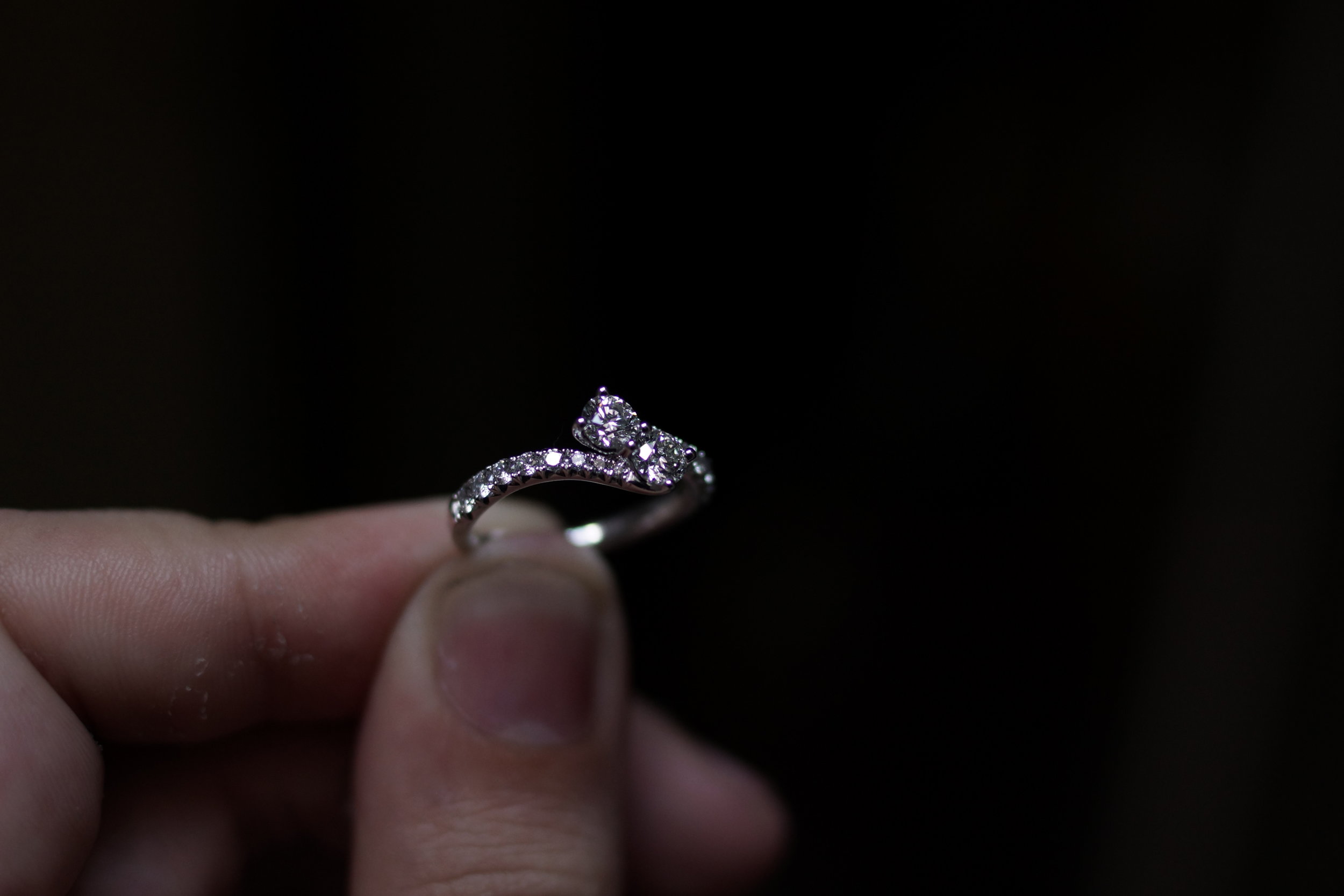 same sex two stone ring