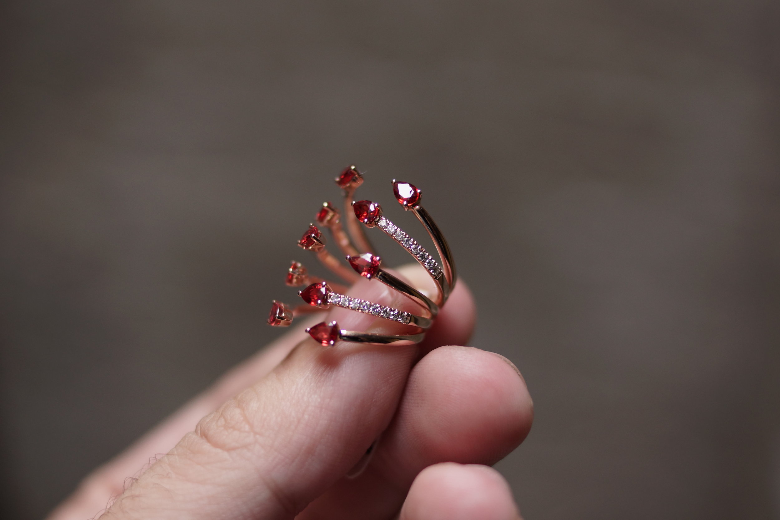 robert lance rings