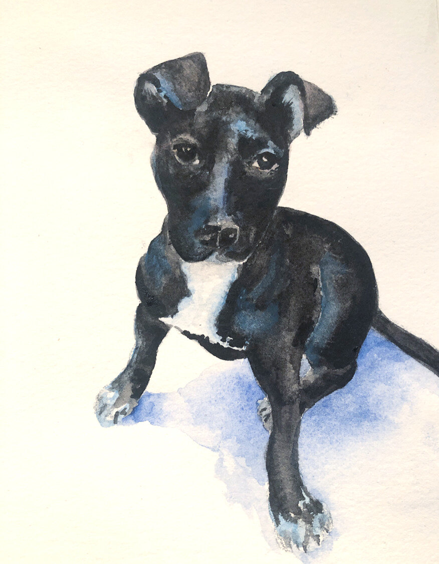 Lilly