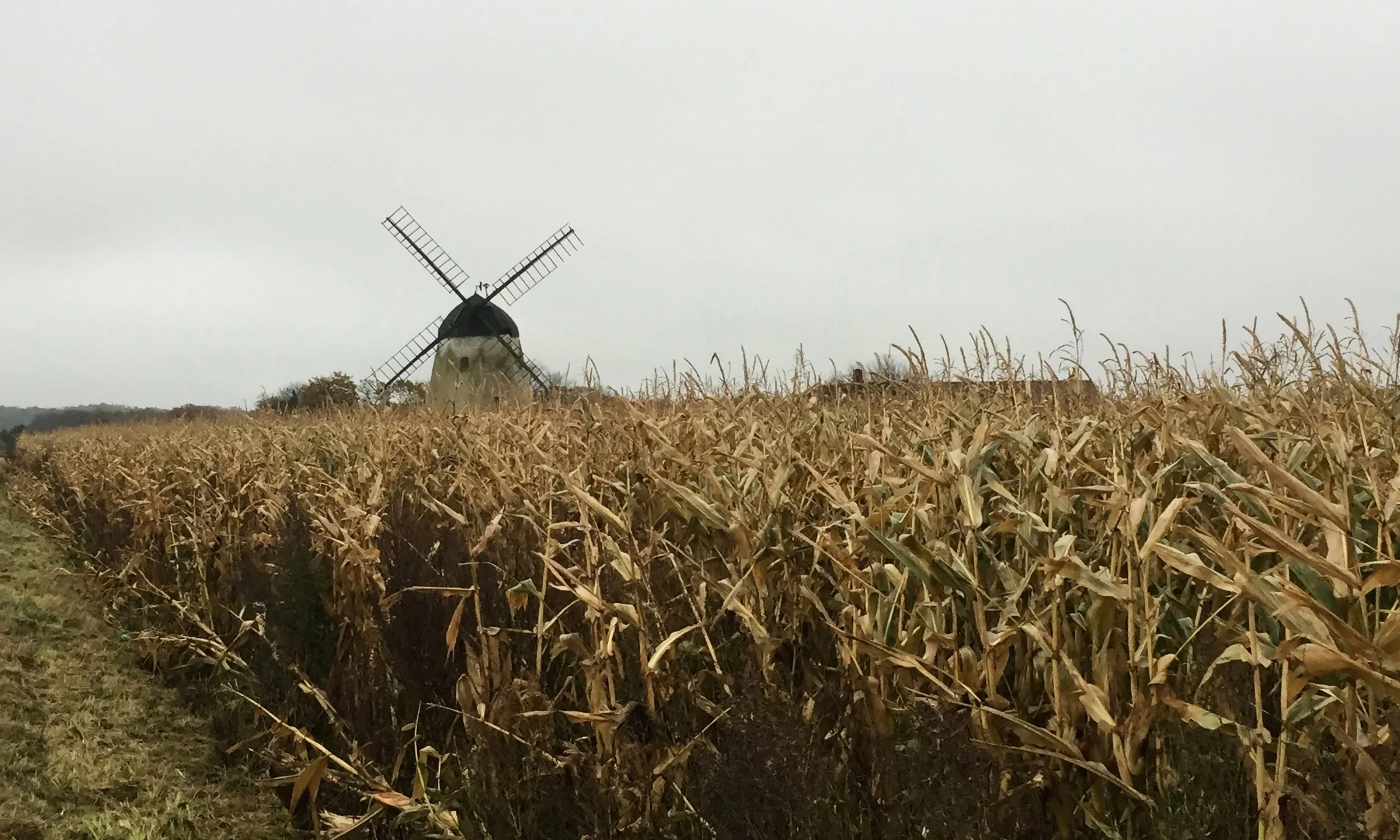 On the morning drive to the ceramic factory on Bornholm Island.