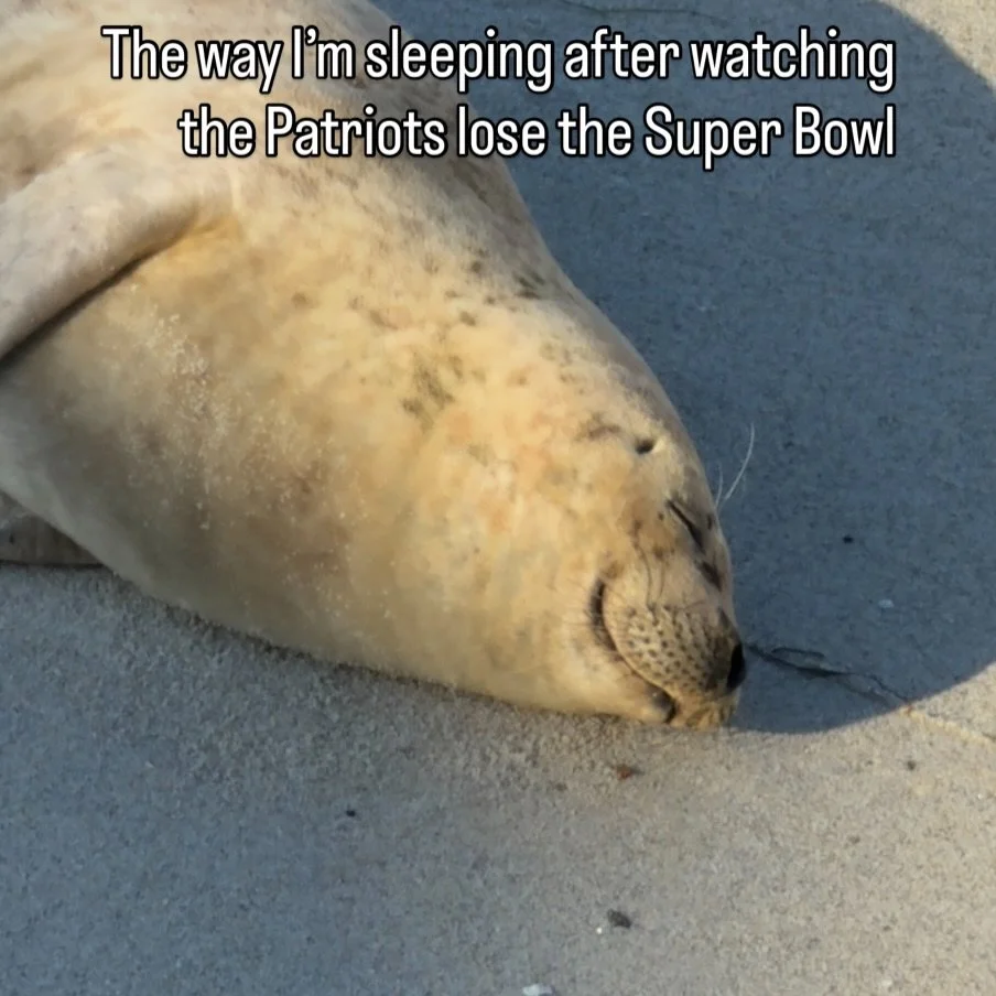 It&rsquo;s so satisfying.