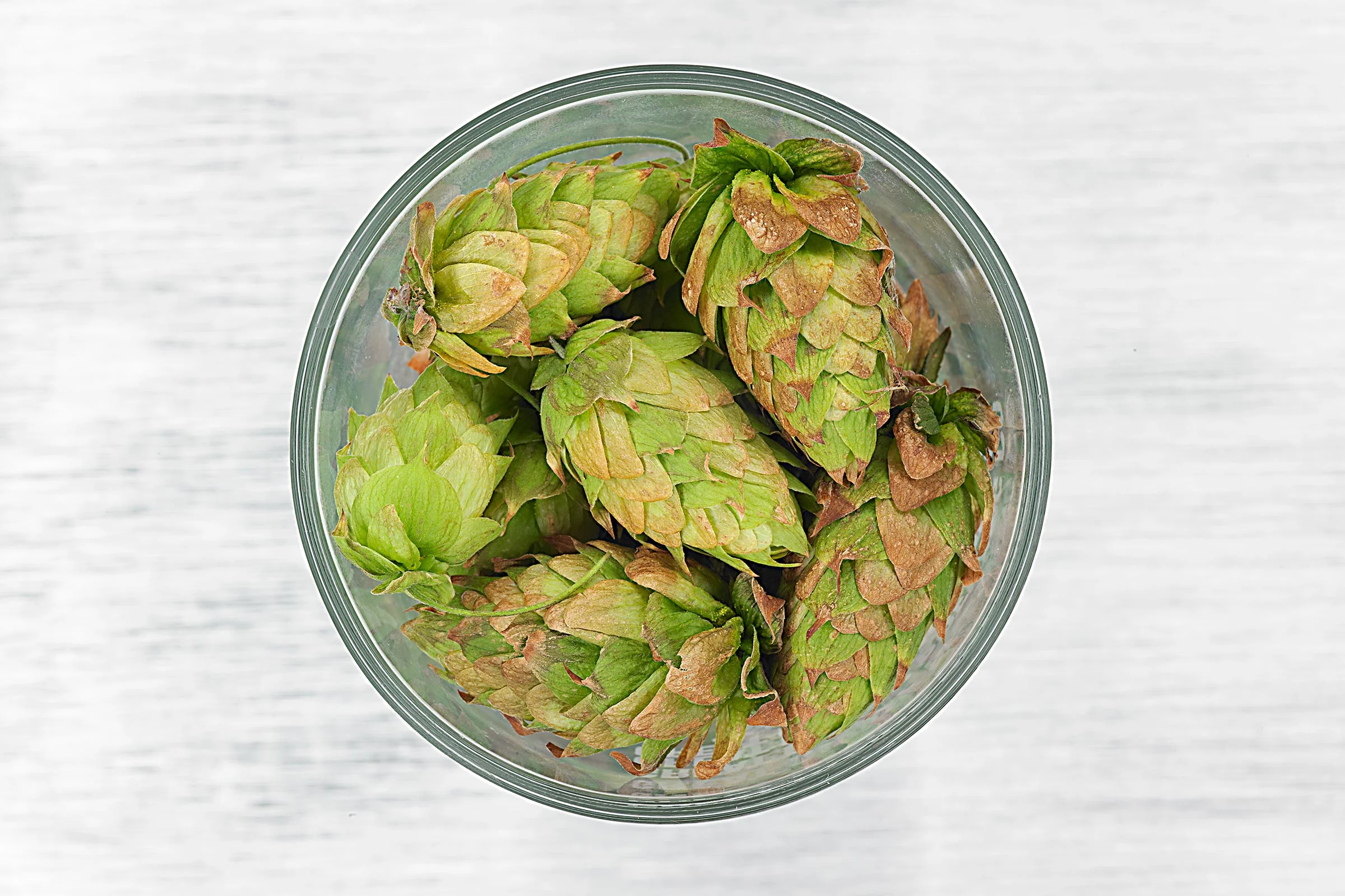Hops