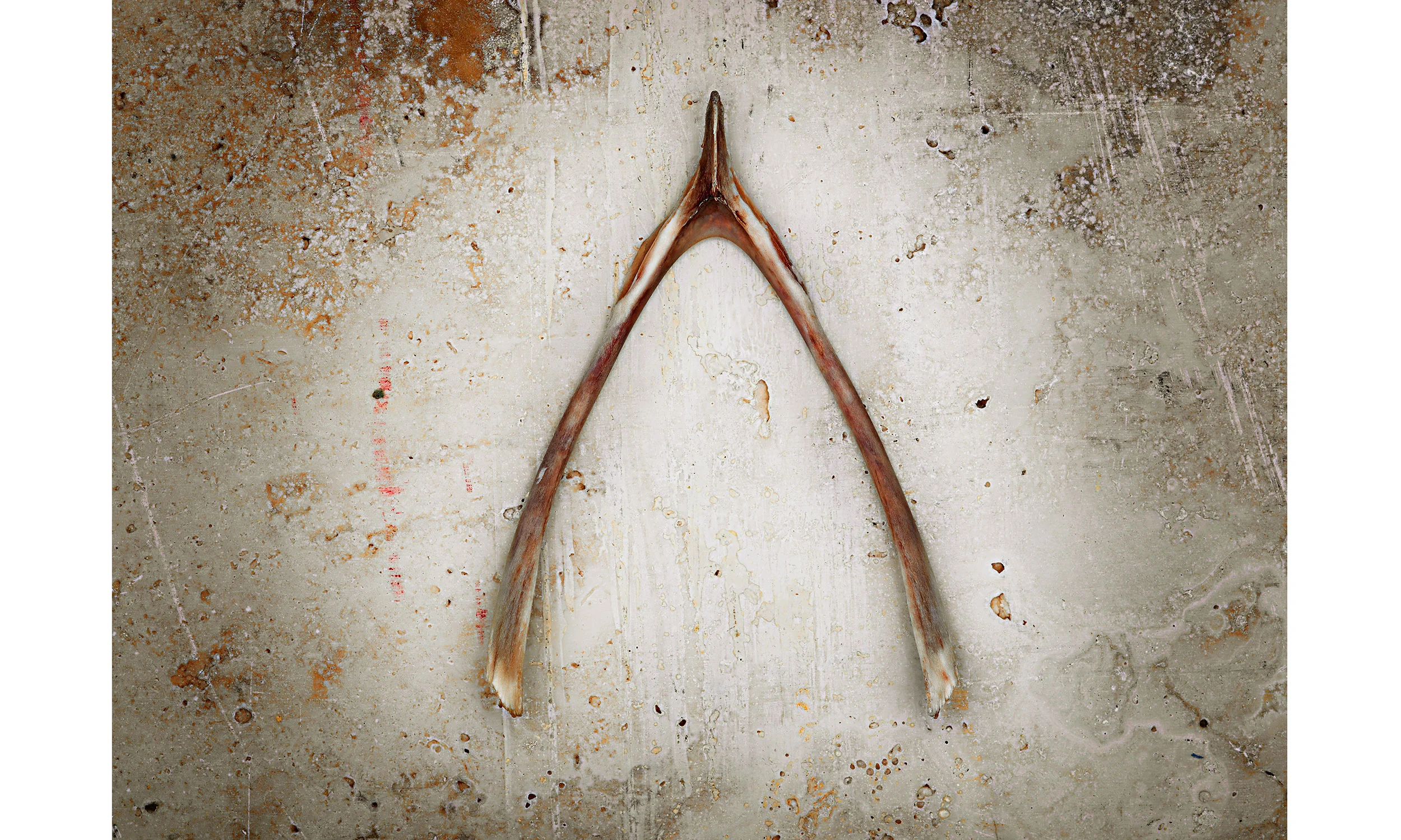 Wishbone