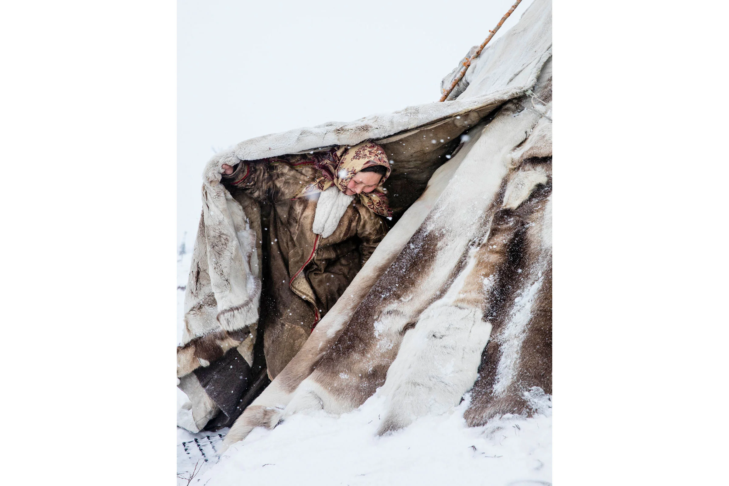Herder in shelter, Siberia