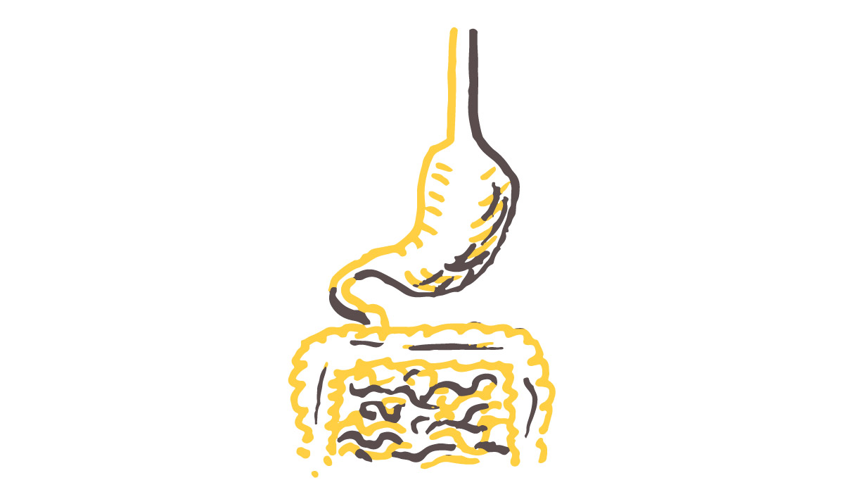 GI-DIGESTIVE-Facebook.jpg