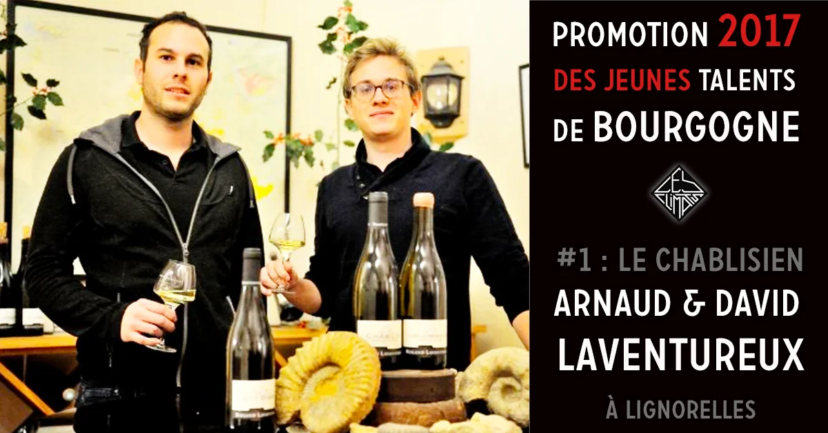 David et Arnaud Lavantureux ont raflé 2 années consécutives le titre de Lauréat sur le vignoble de Chablis (2016 & 2017) Les 2 frères ont repris en 2010 les rênes des 20 Ha du Domaine familial planté 100% en Chardonnay avec une double extension prévue vers les rouges en 2020 sur 4,5 Ha plantés à Epineuil, dans le Tonnerrois, propriété de leurs grands-parents maternels et sur 4 ha en cours de “replantation” pour produire du Bourgogne Tonnerre. Chacun a son rôle : Arnaud, 27 ans, dans les vignes et en cuverie. David, 31 ans, à la gestion et à la commercialisation. Leur viticulture travaille sur la plus grande biodiversité des sols pour des raisins sains et concentrés. Leur vinification exprime le terroir et l'influence de chaque millésime.
