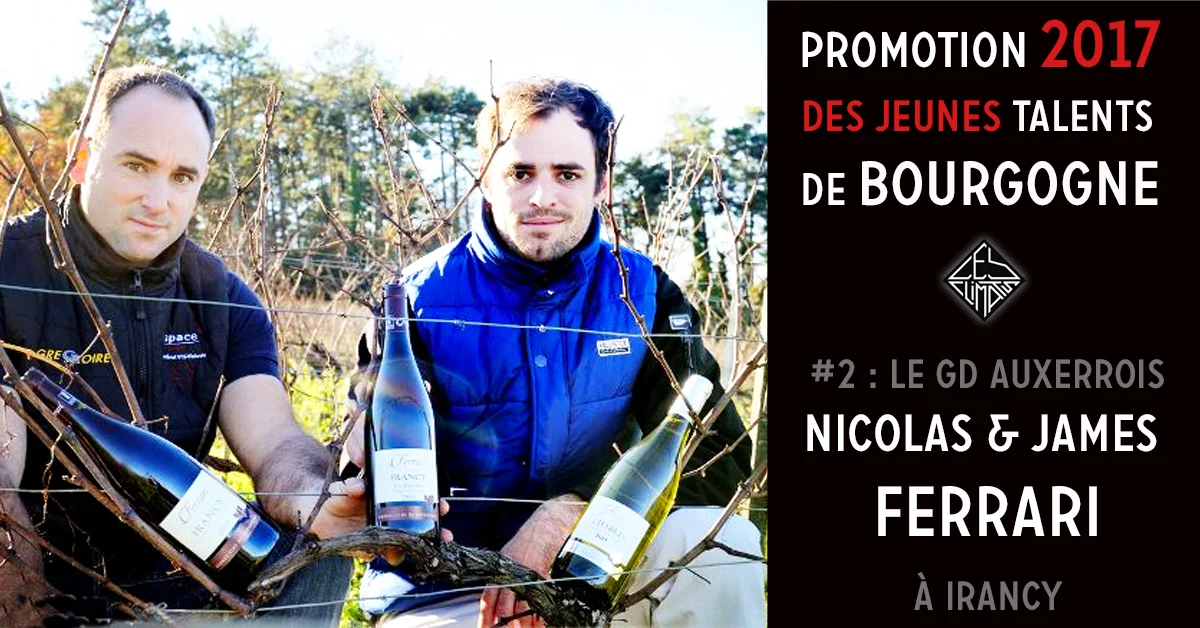 Nicolas et James Ferrari ont repris depuis 2015 le domaine créé par leur père Christophe en 1987. Ils travaillent aujourd’hui sur 26 Ha de vignes sur Irancy et Chablis. Comme chez les Lavantureux chacun a son rôle : James s’occupe des vignes menées en “biologique-raisonné” et Nicolas fait les vins dans le respect de la tradition bourguignonne (cueillette manuelle, fermentation classique, élevage en fût de chênes) combinée à l’utilisation maîtrisée de quelques techniques modernes visant à l’amélioration de la qualité des vins (régulation thermique des moûts en fermentation, mise en bouteille sous vide …).