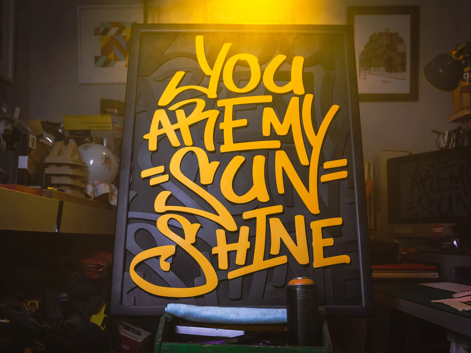 sunshine_FT9C0420_3.jpg