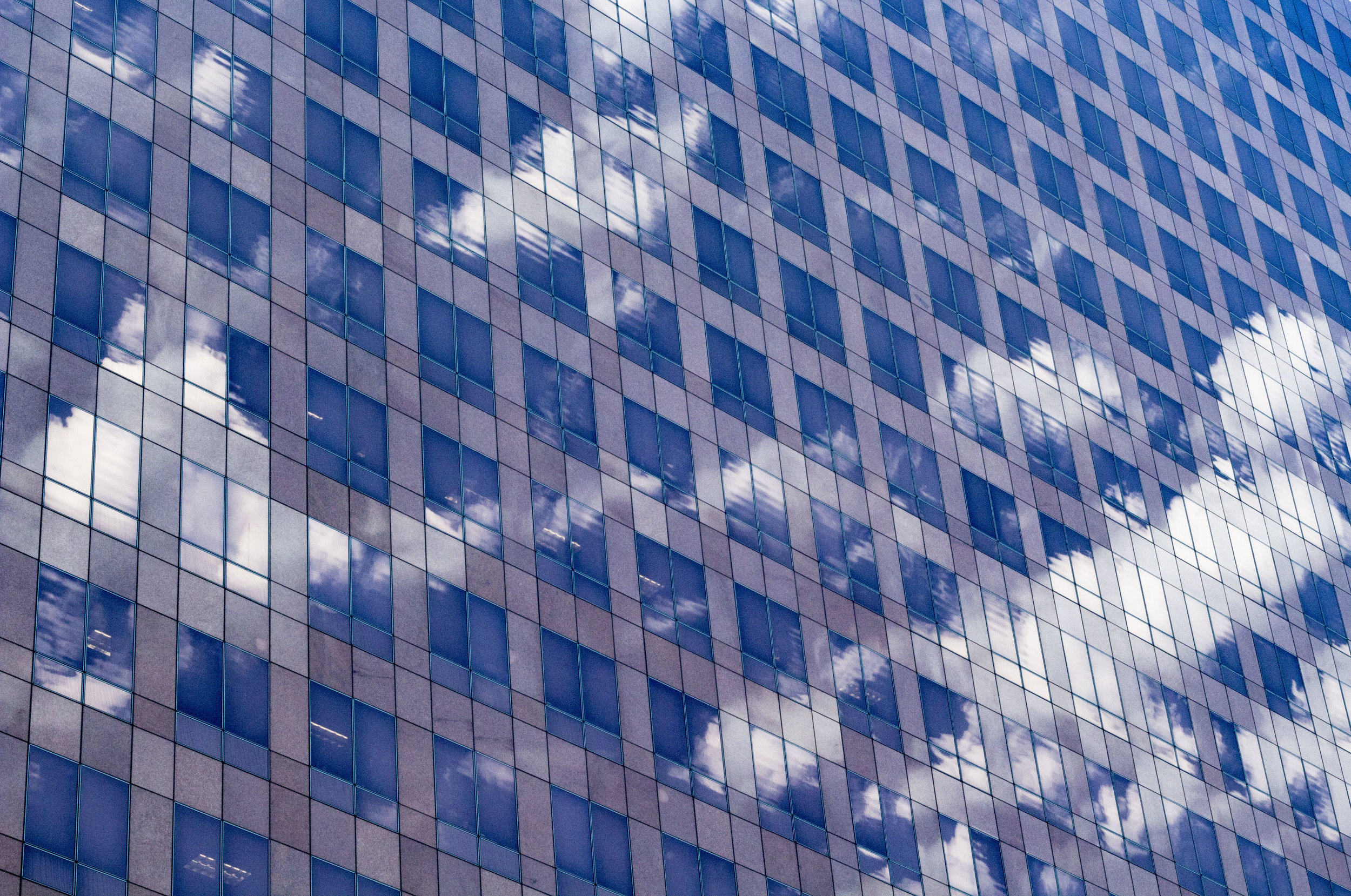 35036871643_6913857dc1_o.jpg