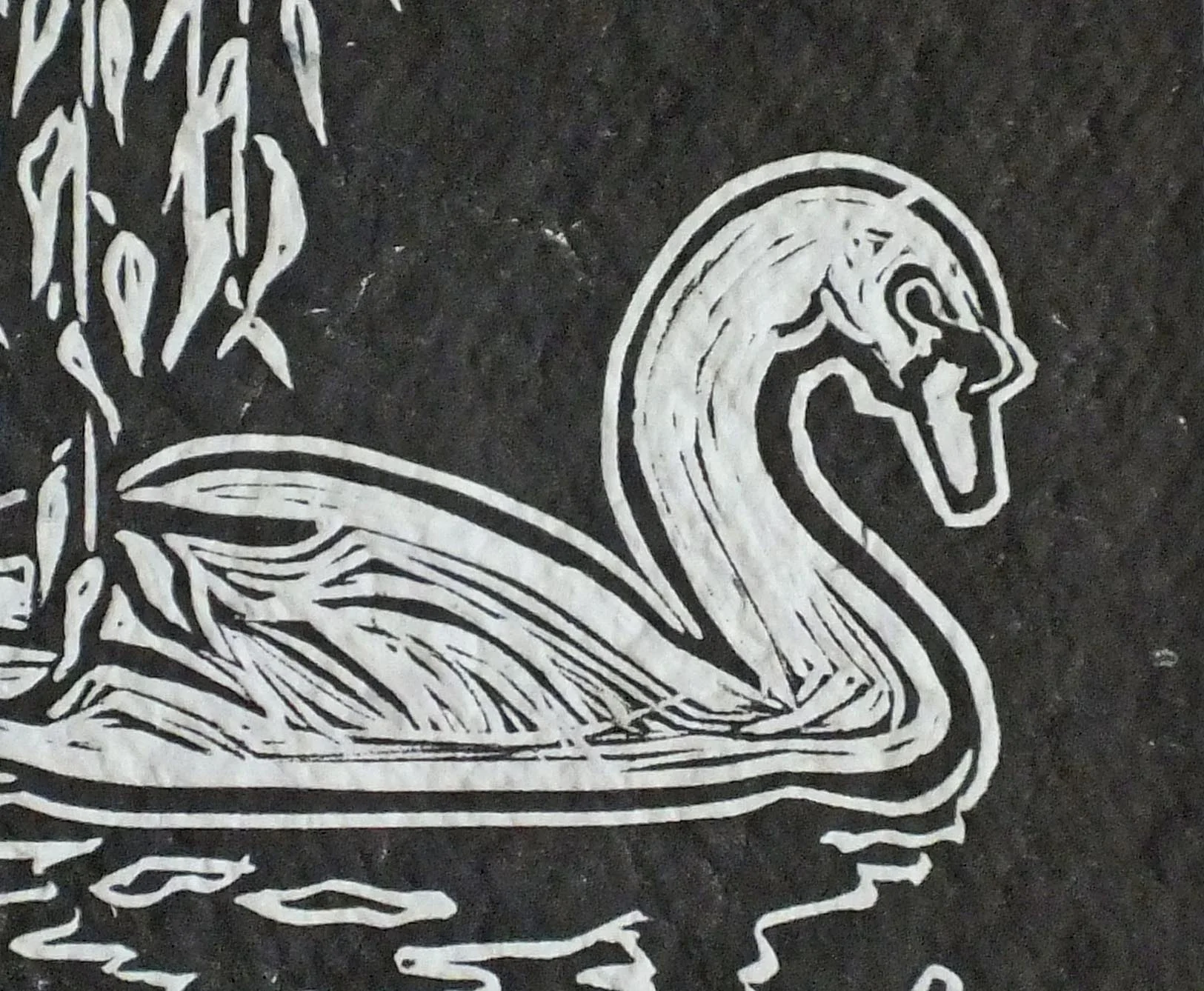 Black Swan Mar 2017 closeup.jpg