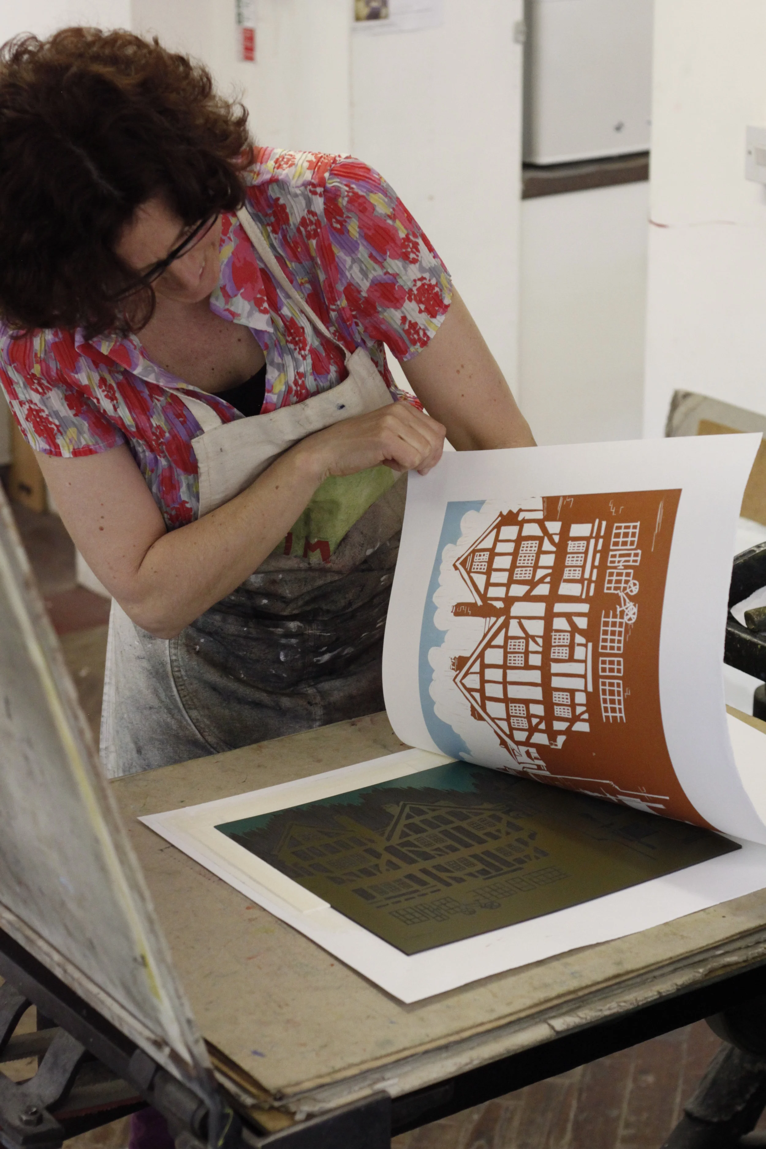 Revealing Tudor Houses Print (photo Martyn Windsor)