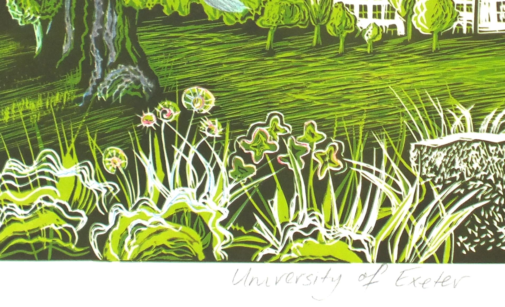 Uni of Exeter flowers.jpg