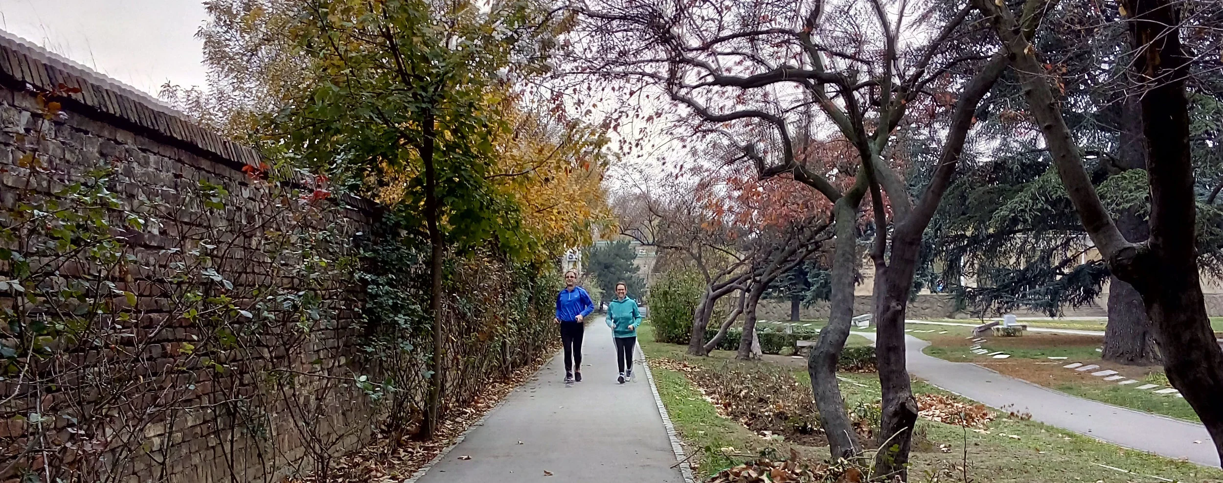 Dragan and Ali running in the park
