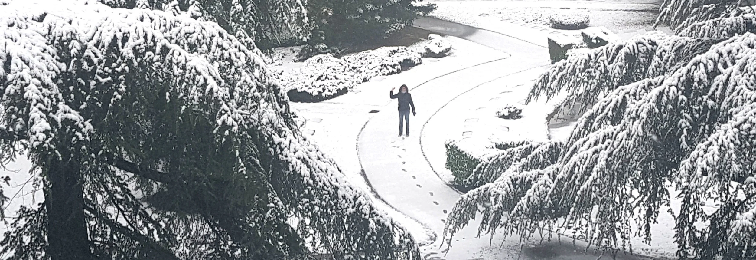 Ali and her footprints in the park