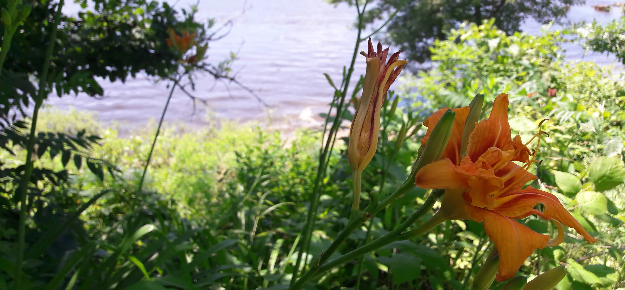 Mississippi River, Wisconsin