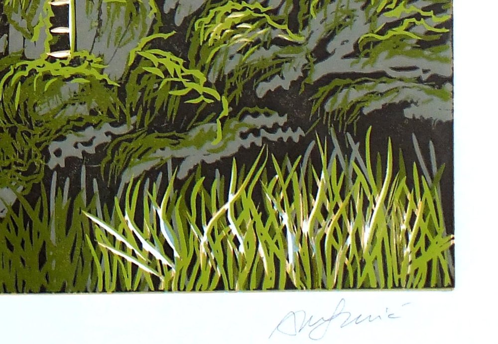 Grass Studies - Original Framed Monoprints - 30cm x 40cm