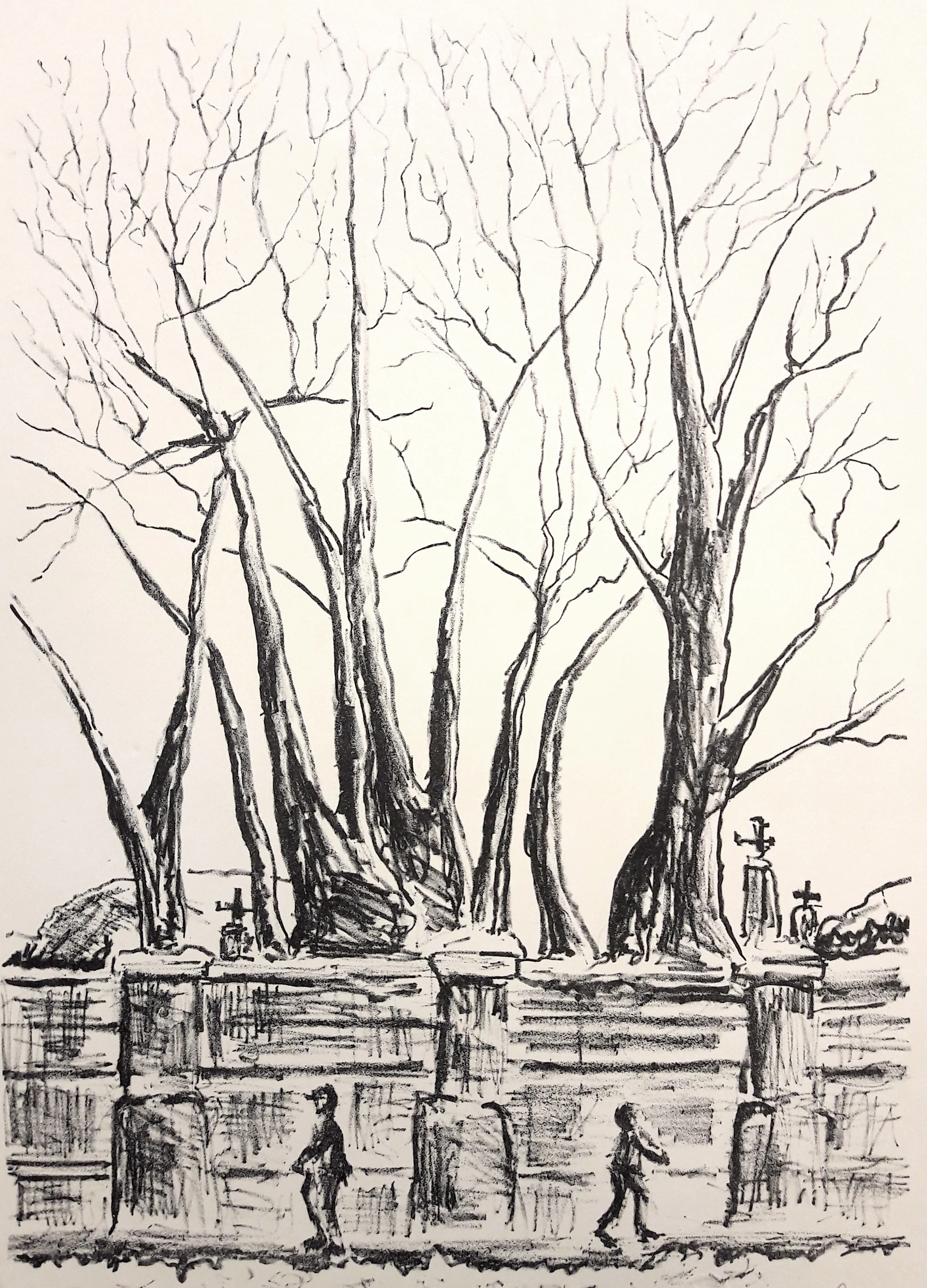 Falling Snow litho image.jpg