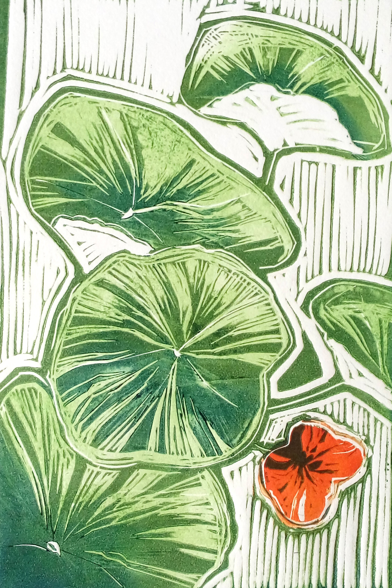 Nasturtiums #3 closeup.jpg