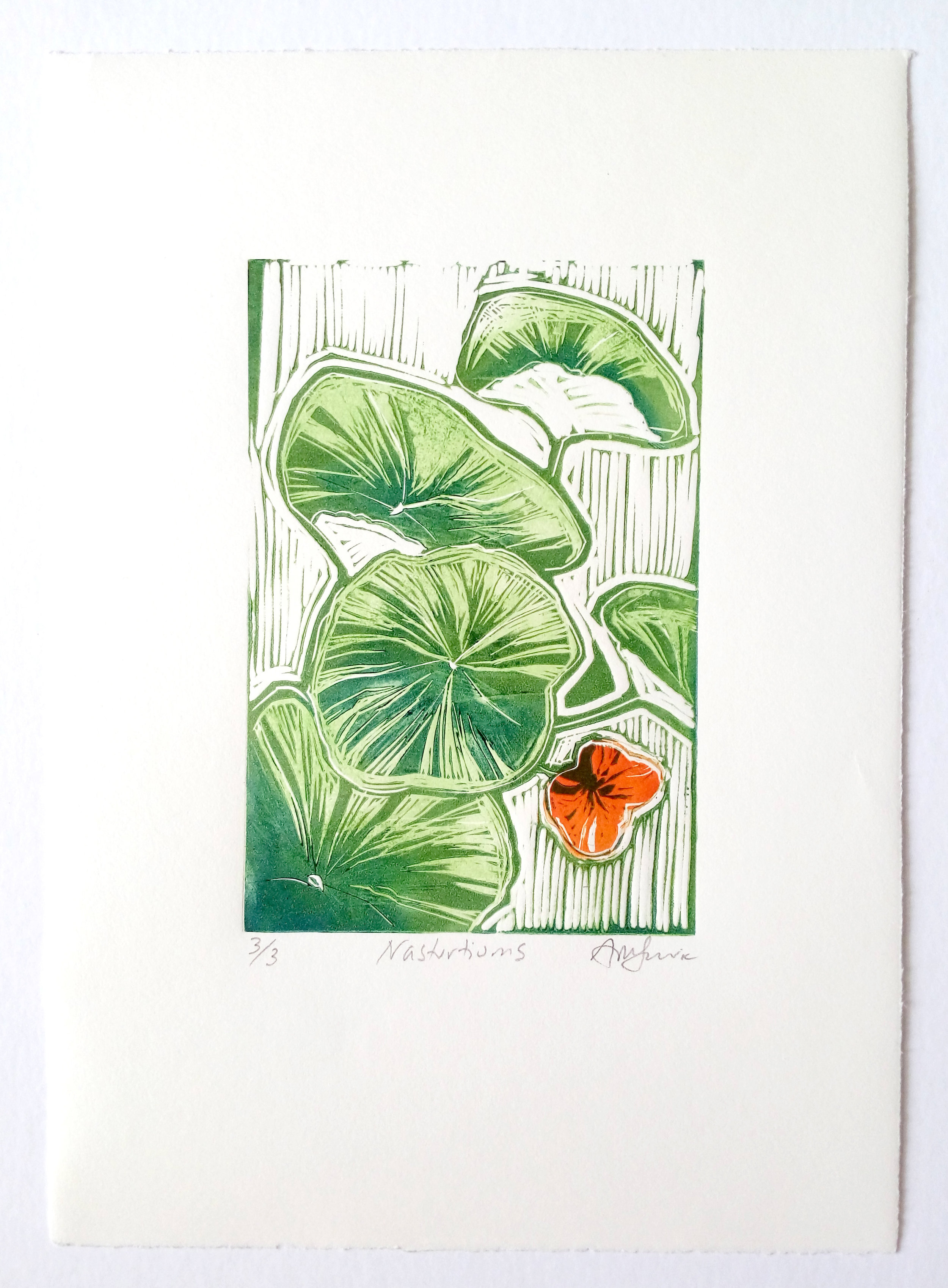 Nasturtiums #3 complete.jpg