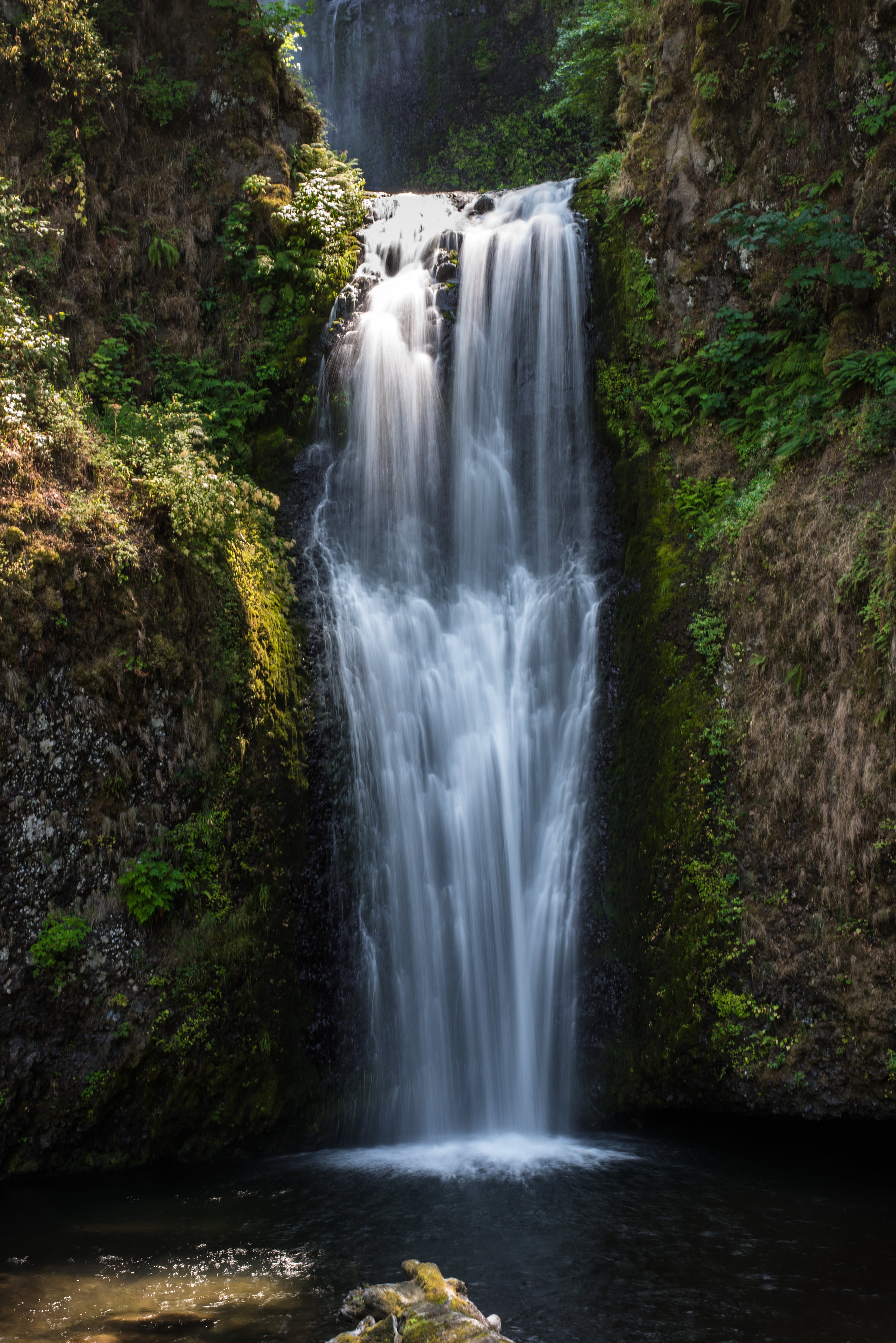 DSC_3503.jpg