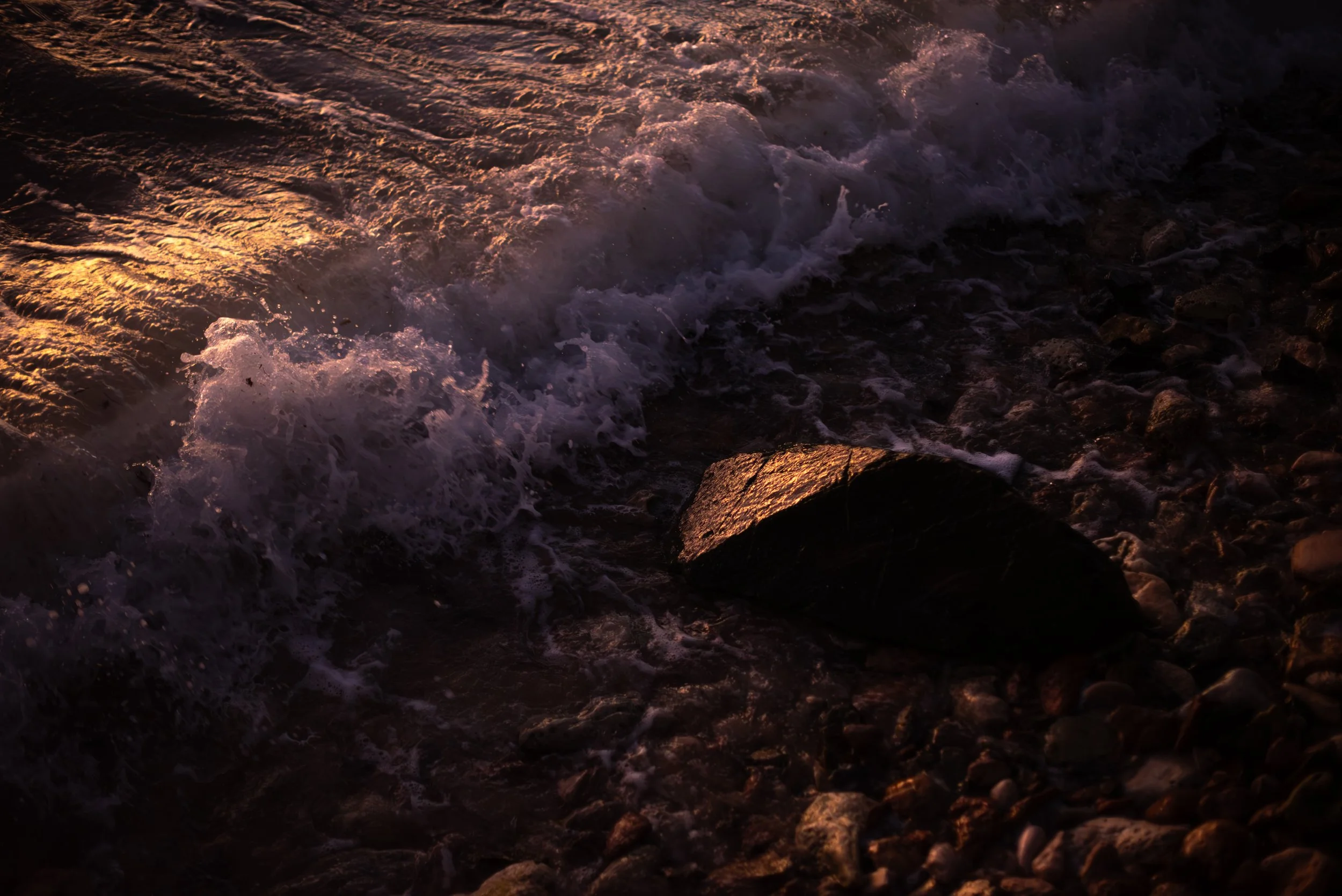 AMY_5344-Enhanced-NR.jpg