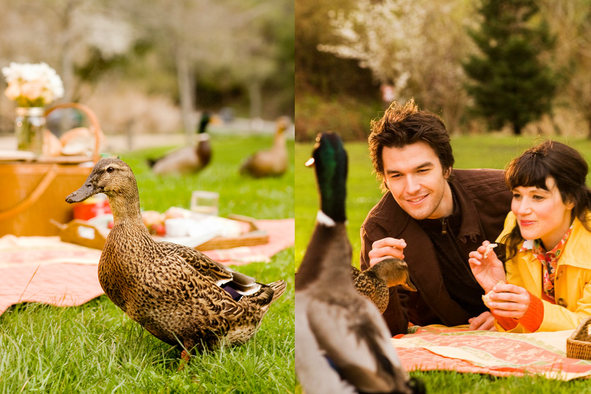 Screen Shot 2014-04-13 at 1.56.43 PM.png