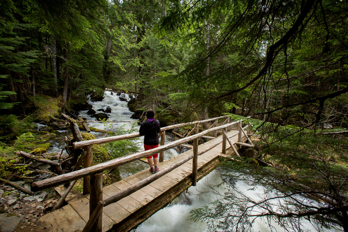 riverside-trails-cheakamus-JJ054096-web.jpg