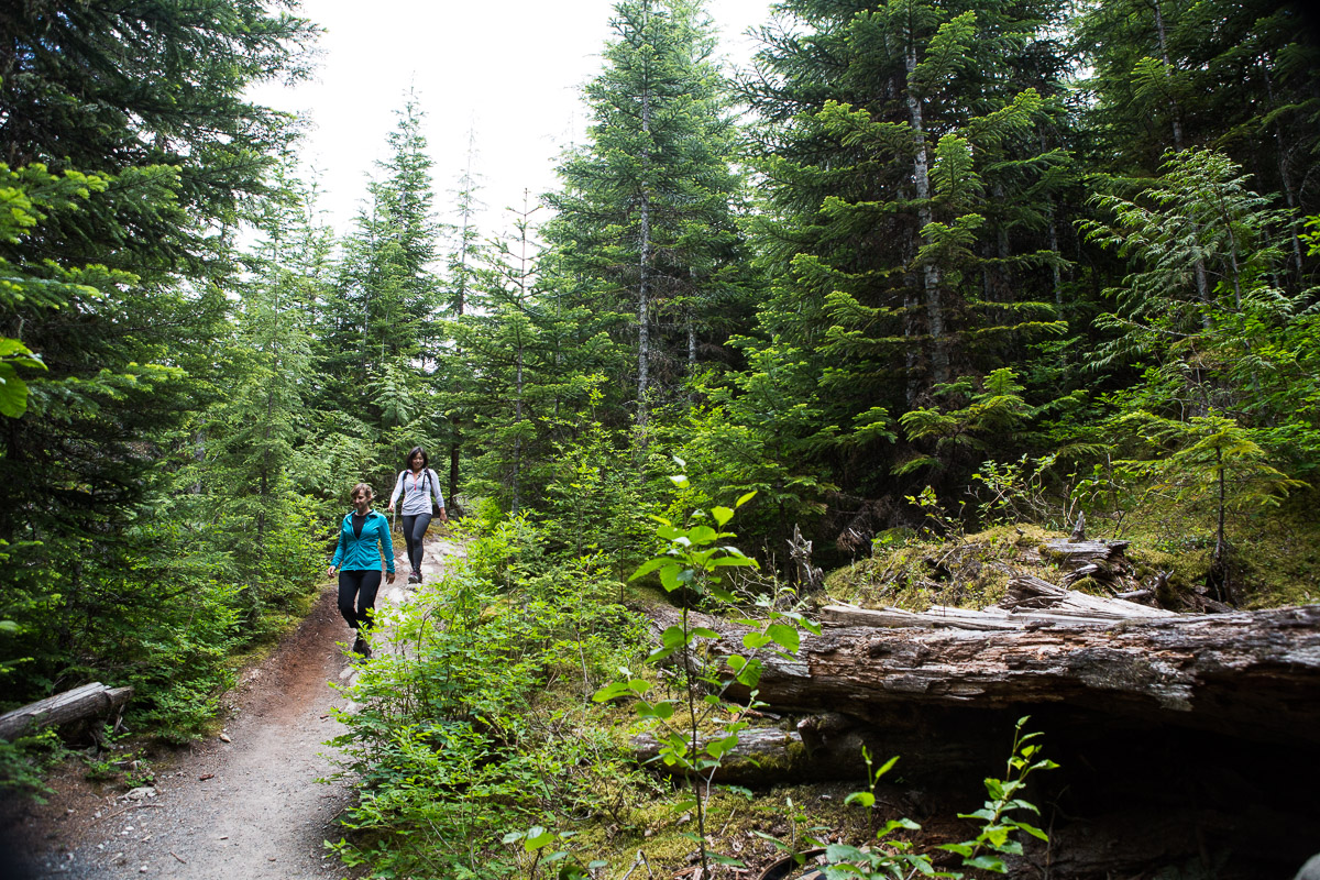 riverside-trails-cheakamus-JJ030365-web.jpg