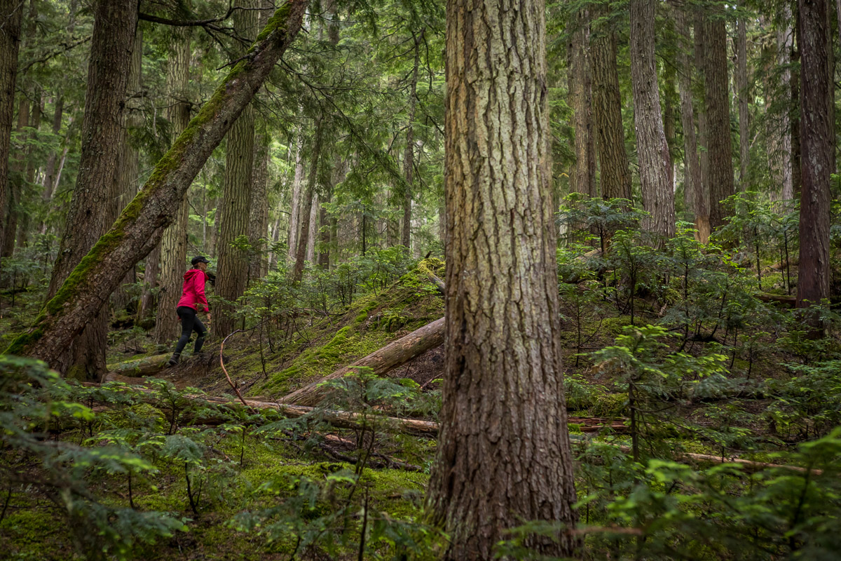 accent-trails-whistler-JJ062368-web.jpg