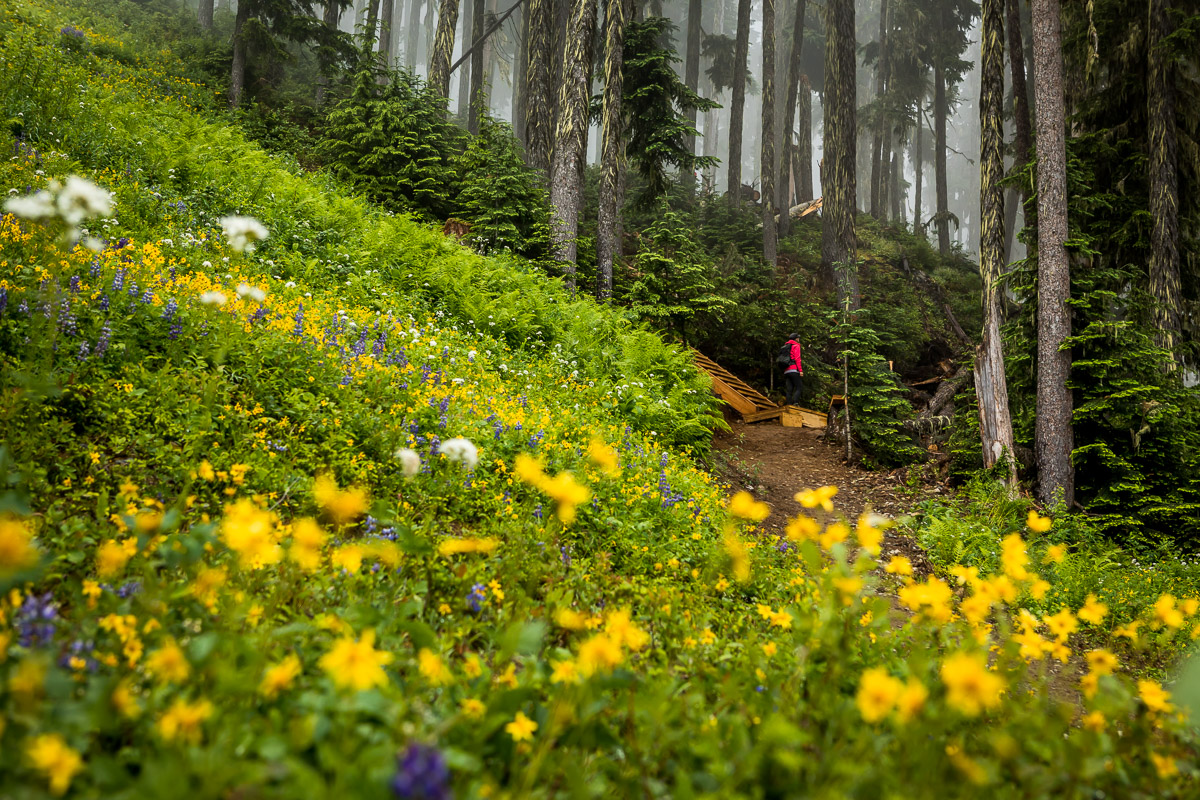 accent-trails-whistler-JJ062383-web.jpg