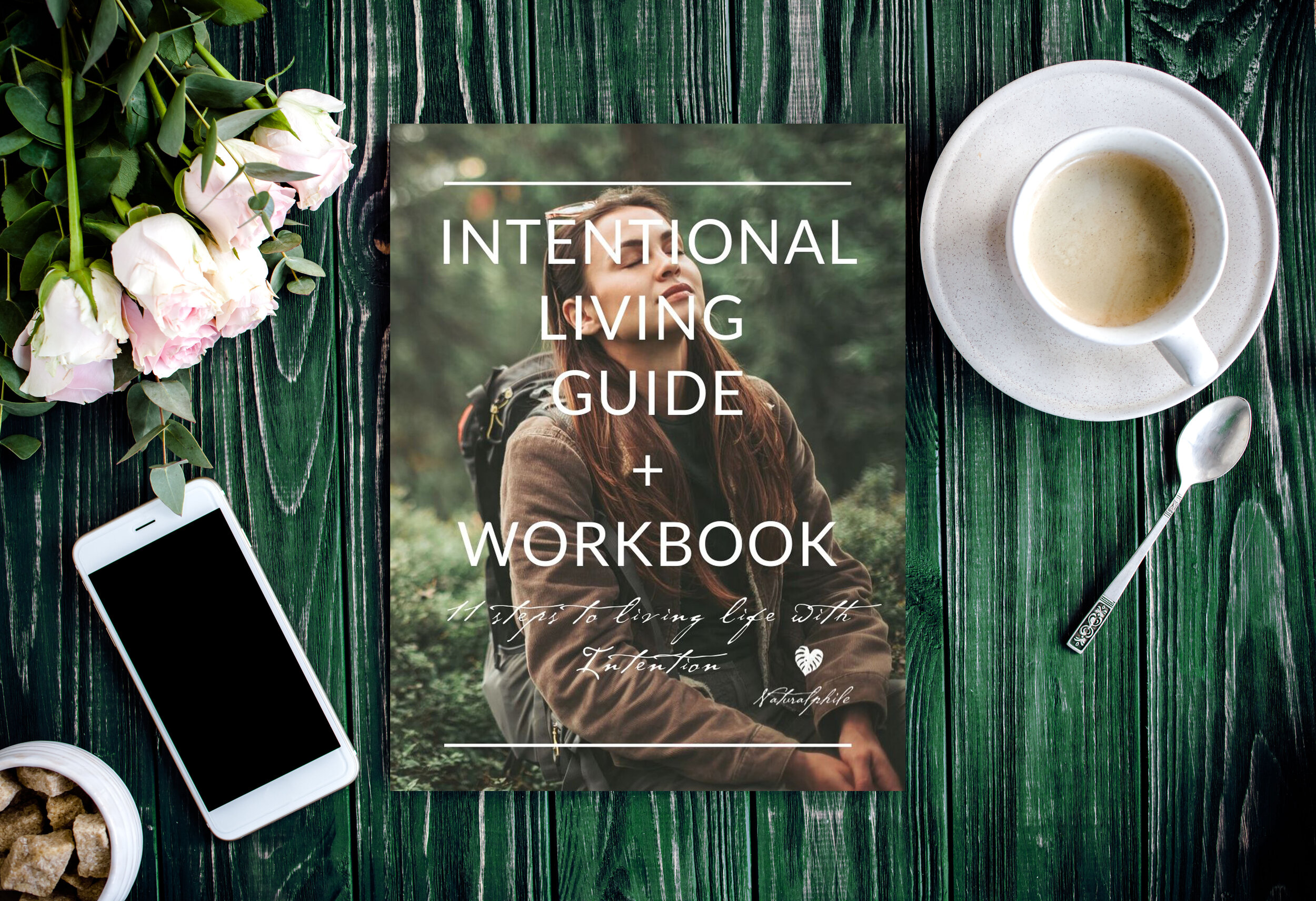 intentional living guide 11.jpg