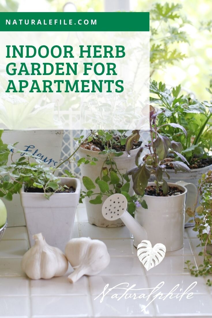 Indoor Herb Garden for Apartments.jpg