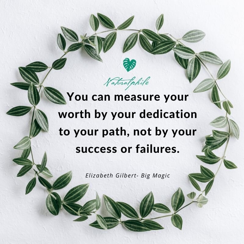 You can measure your worth by your dedication to your path, not by your success or failures..jpg