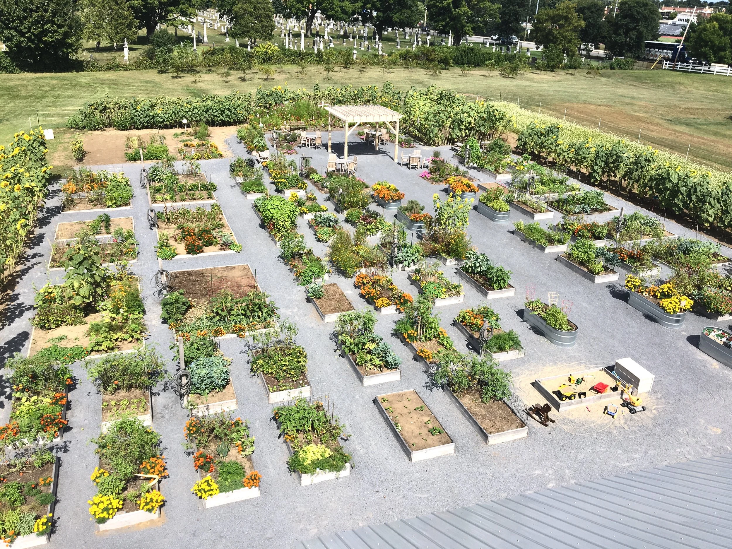 PMCF-gardenplots-2018.jpg