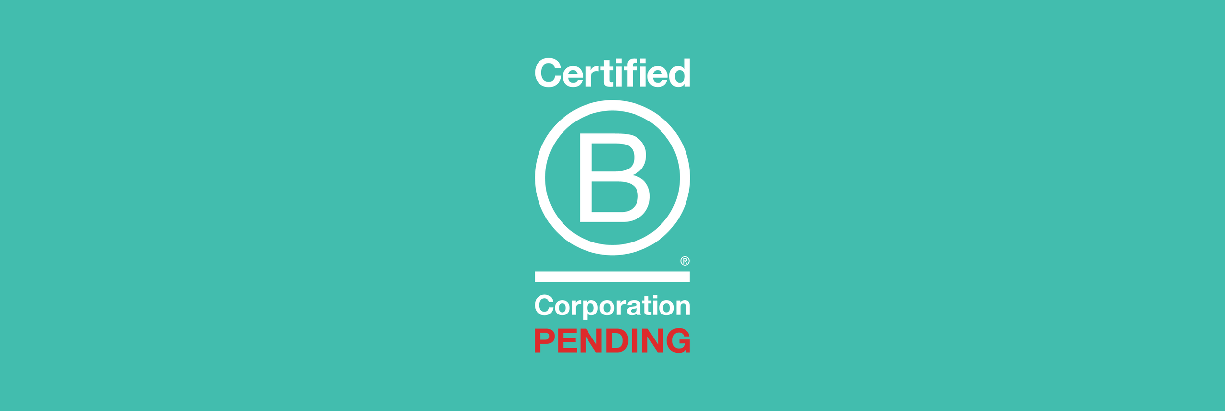 Our B Corp Journey