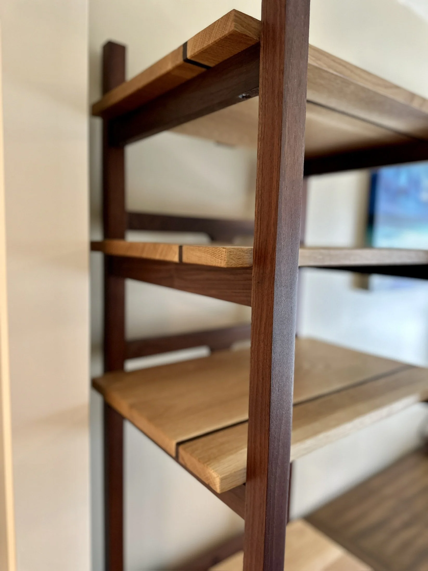 Sallie Plumley Studio Richmond VA White oak and Walnut Bookshelf and File Cabinet 