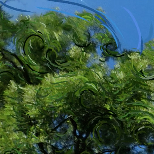 Environment