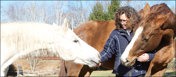 ourhorses.png