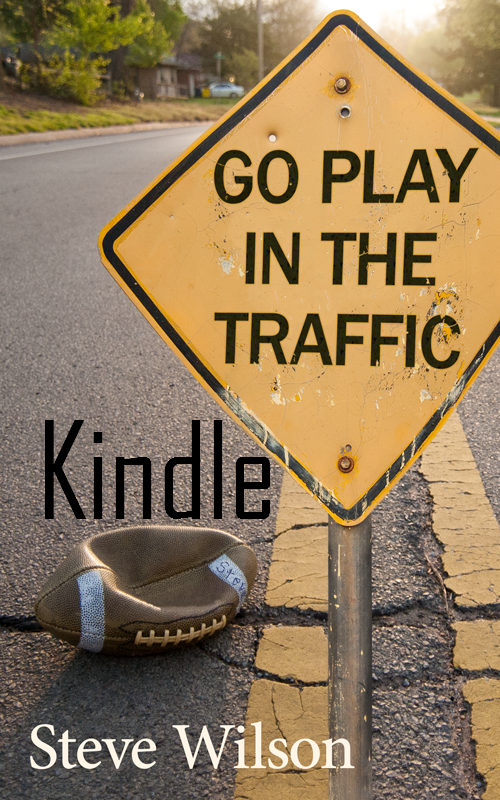 Go Play in the Traffic - Kindle