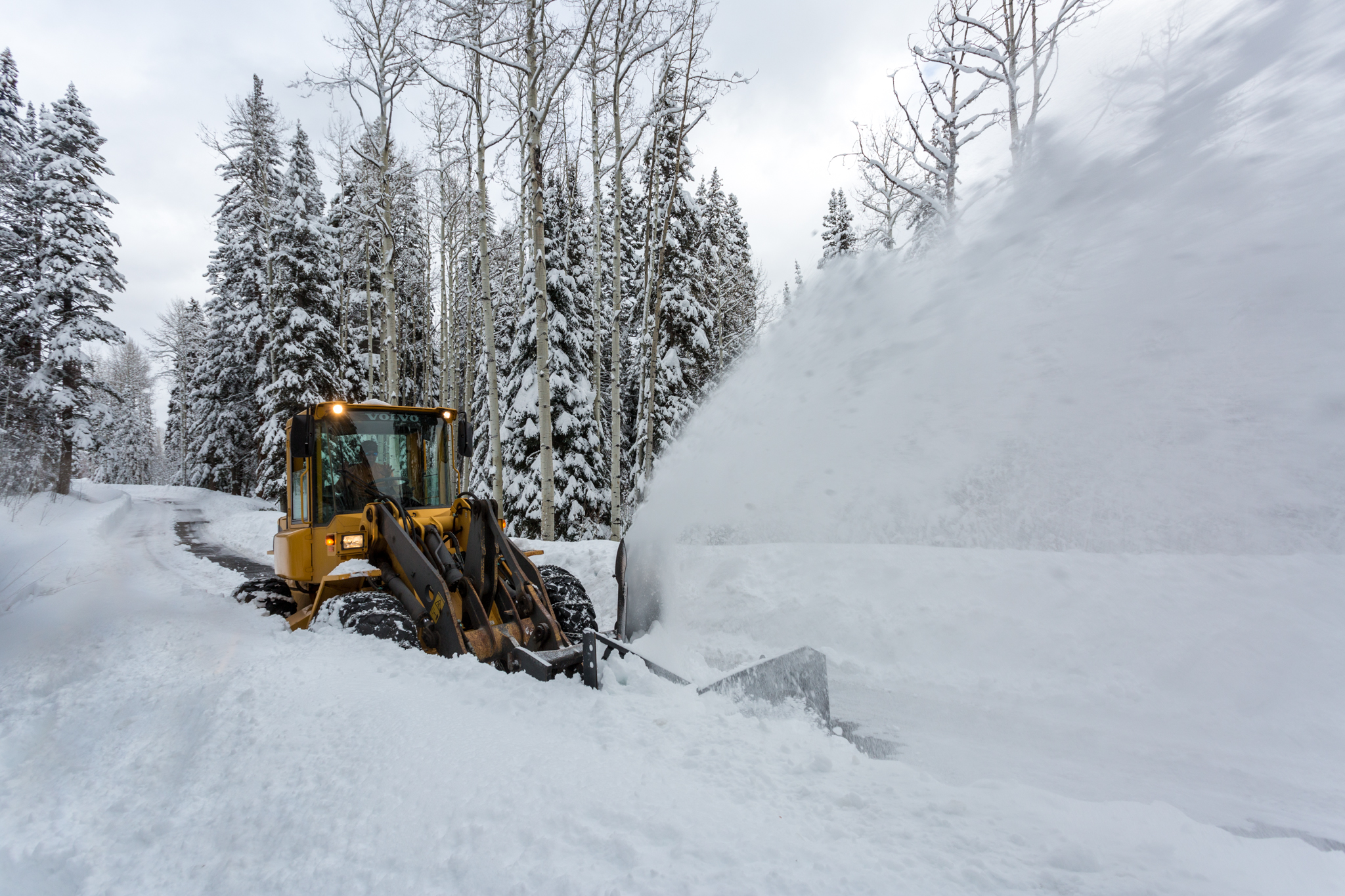 Snow Removal