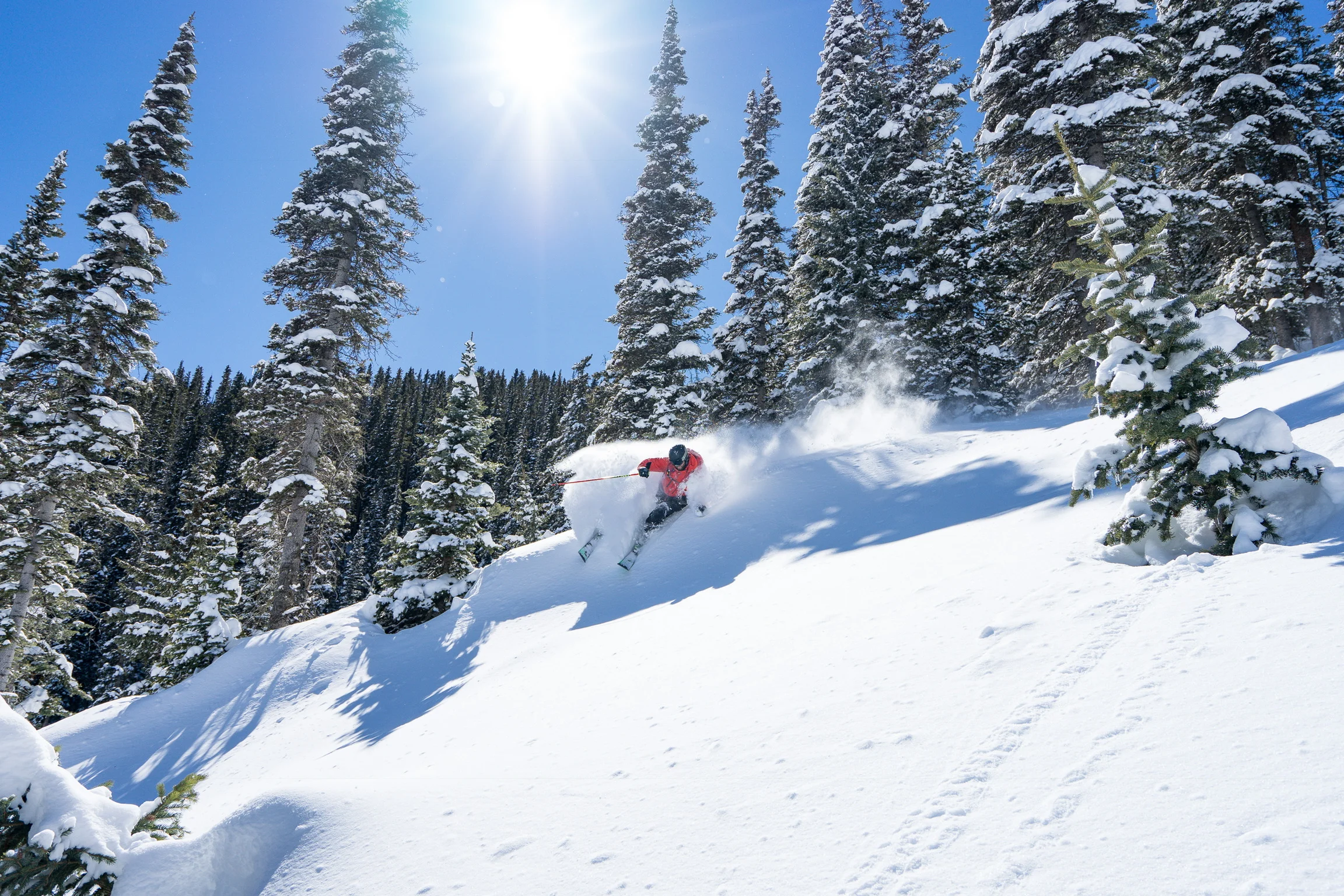  Photo:  Dylan Stucki , Location: Purg Snowcat Adventures 