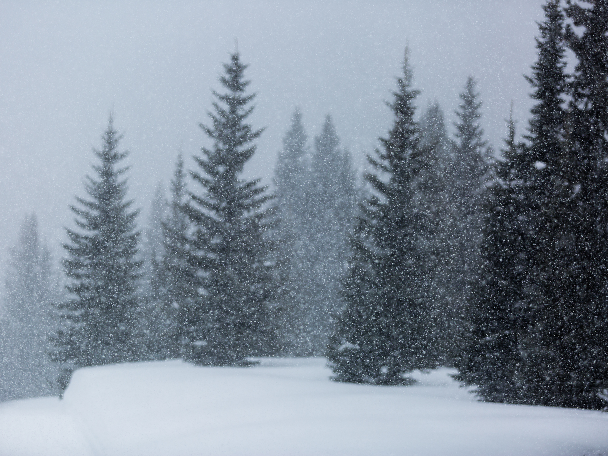 PSAsnowglobe-8028.jpg