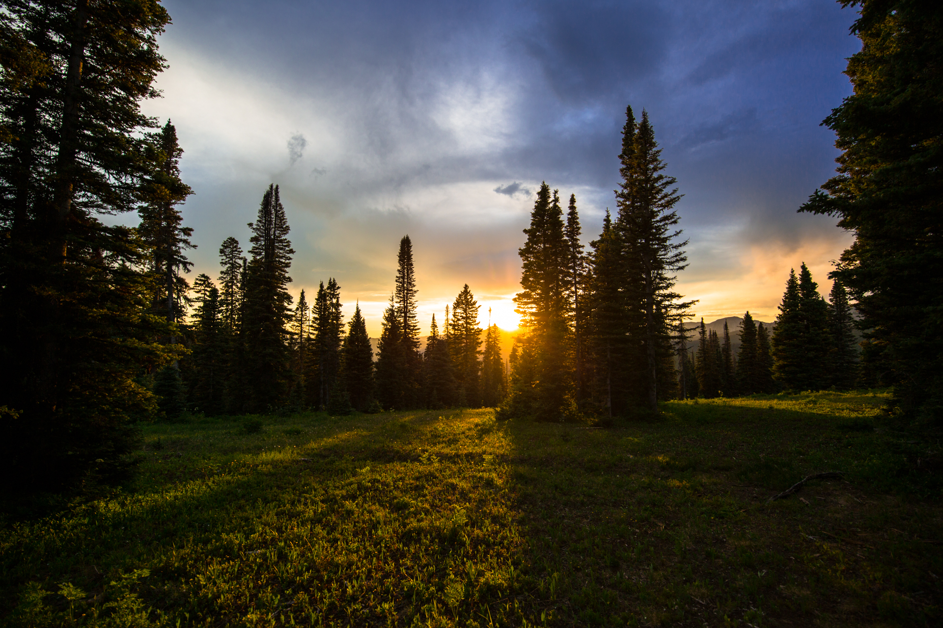 Upper Hermosa Meadows