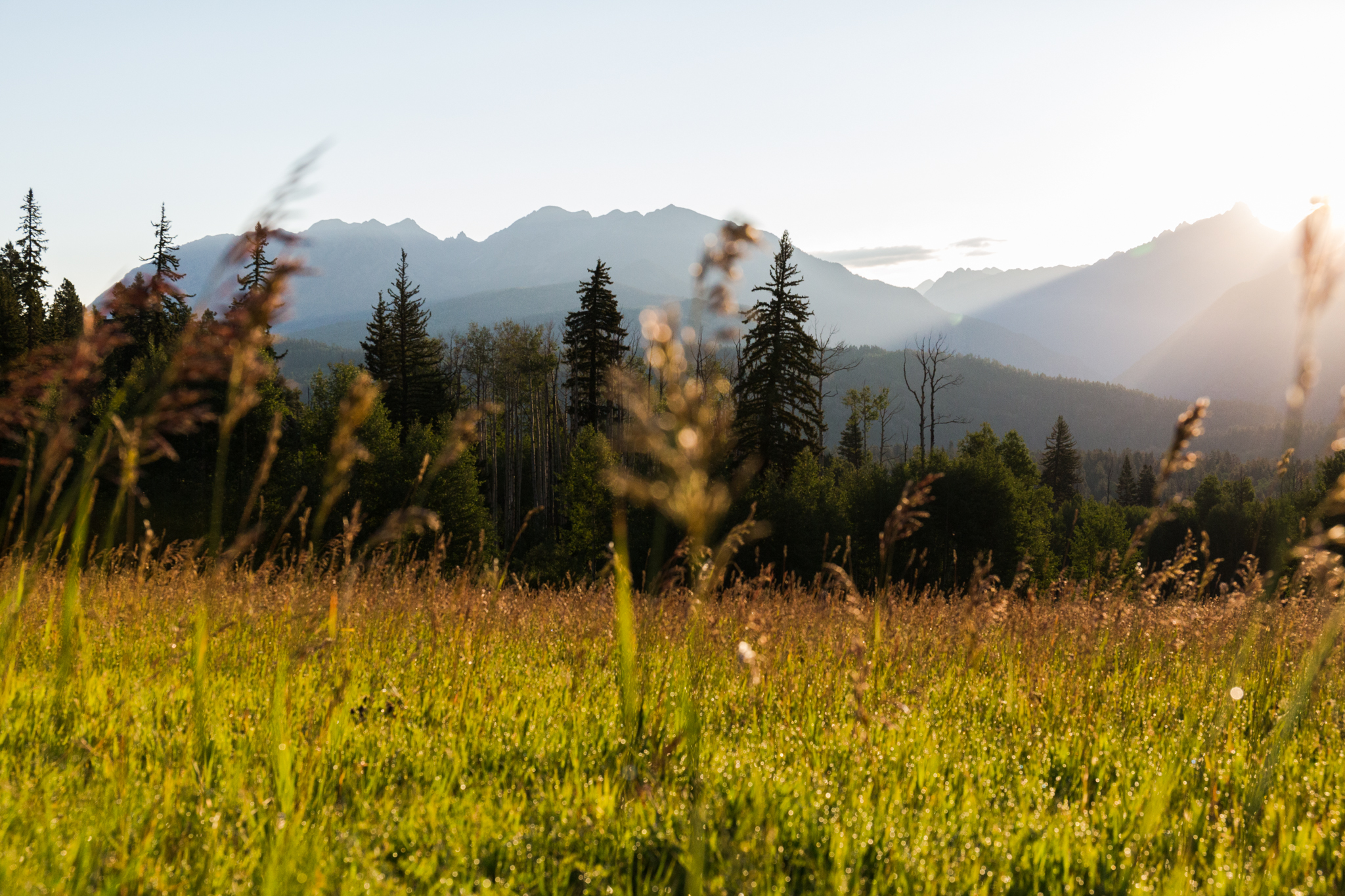 Needles Range
